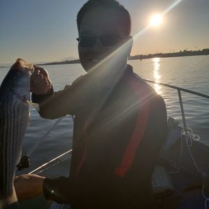 Meet your Posher, Tu do